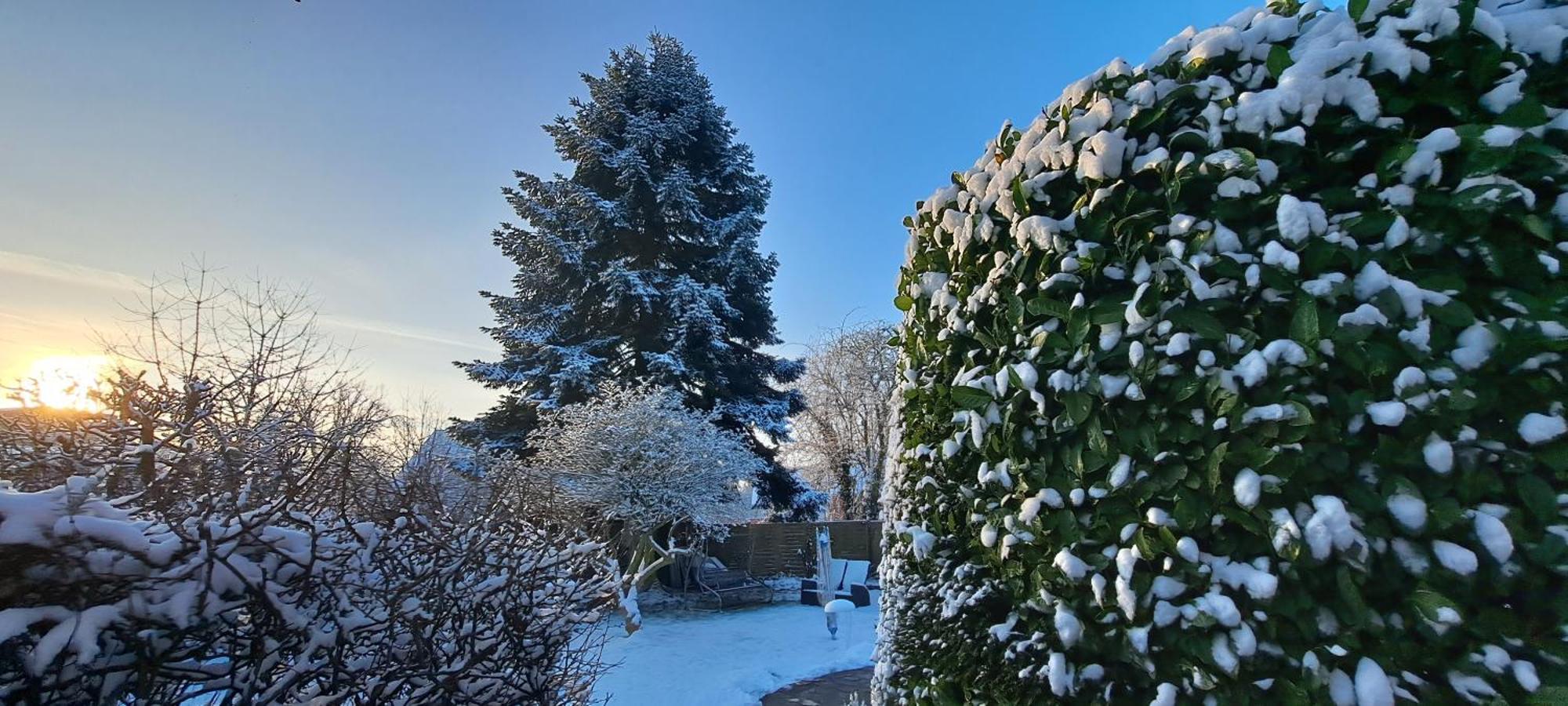 Bungalow An Der Tanne Mit Ueberdachter Terrasse Düsseldorf Exteriör bild